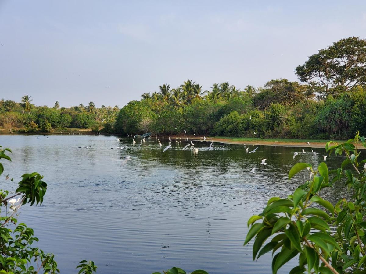Céu Ceylon Tangalle Exterior foto
